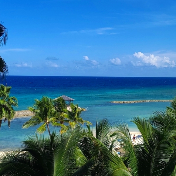 Jingle & Mingle Market POSHableTrain - Picture 7 of 12